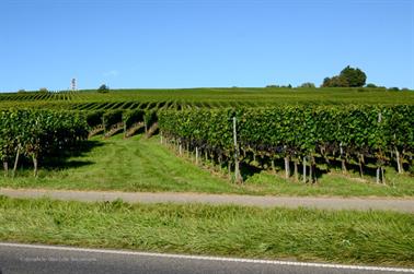 2020 09 04 Meersburg,_DSD_7362_b_488px